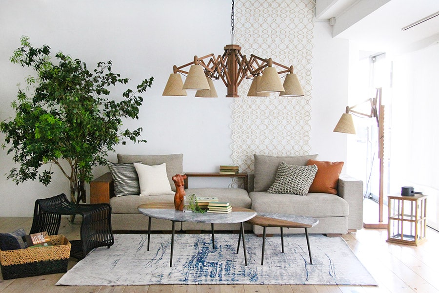 Alternaコーディネートイメージ