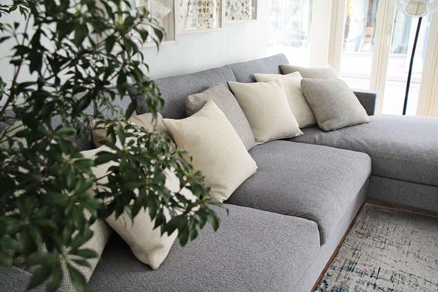 Alegriaコーディネートイメージ