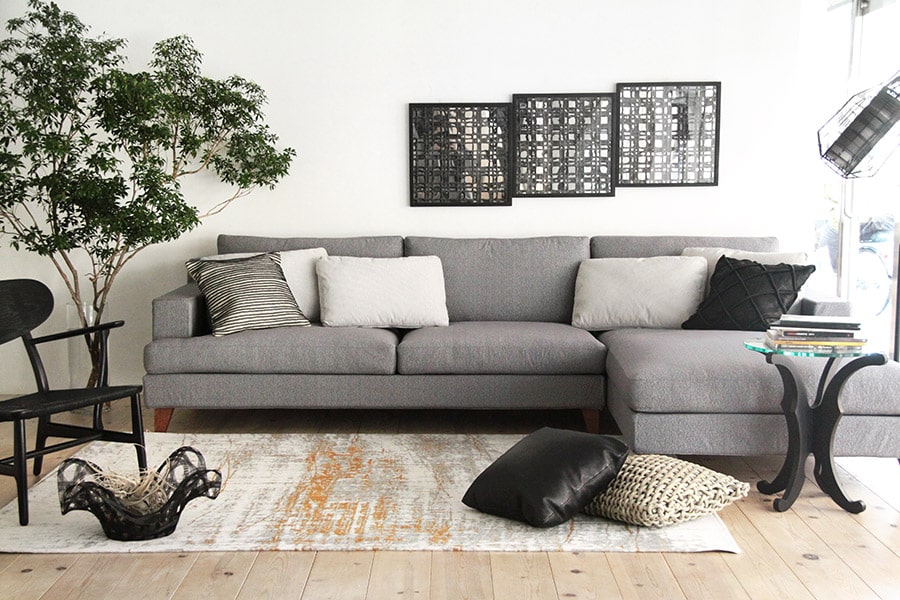 Alegriaコーディネートイメージ