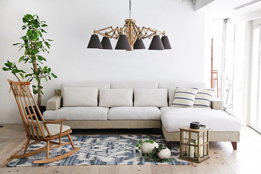 Alegriaコーディネートイメージ