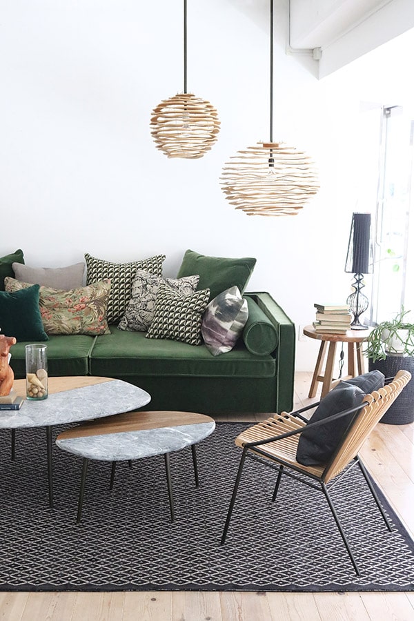 Safariコーディネートイメージ