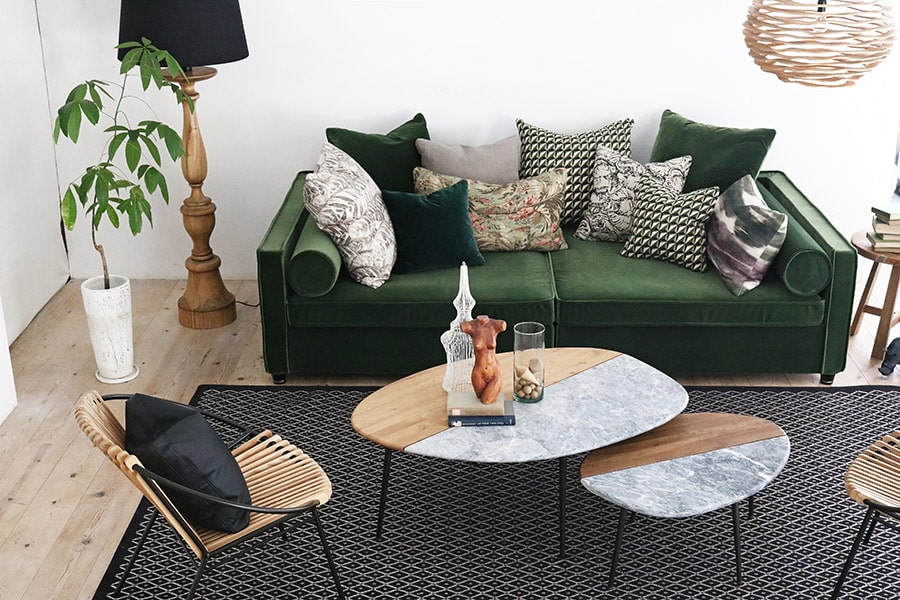 Safariコーディネートイメージ