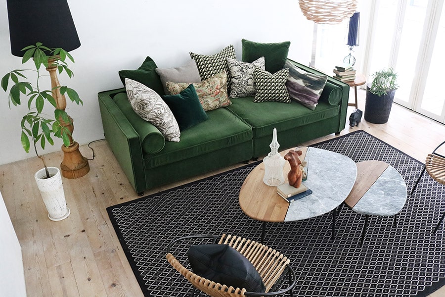 Safariコーディネートイメージ