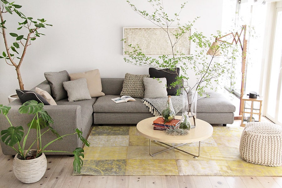 Liberteコーディネートイメージ